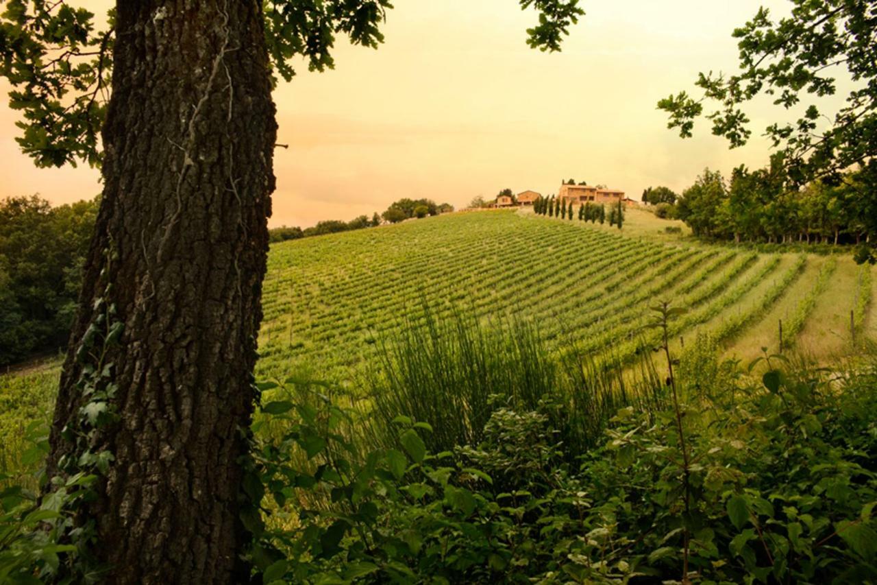 Casali Di Casole - Timbers Tuscany カーゾレ・デルザ エクステリア 写真